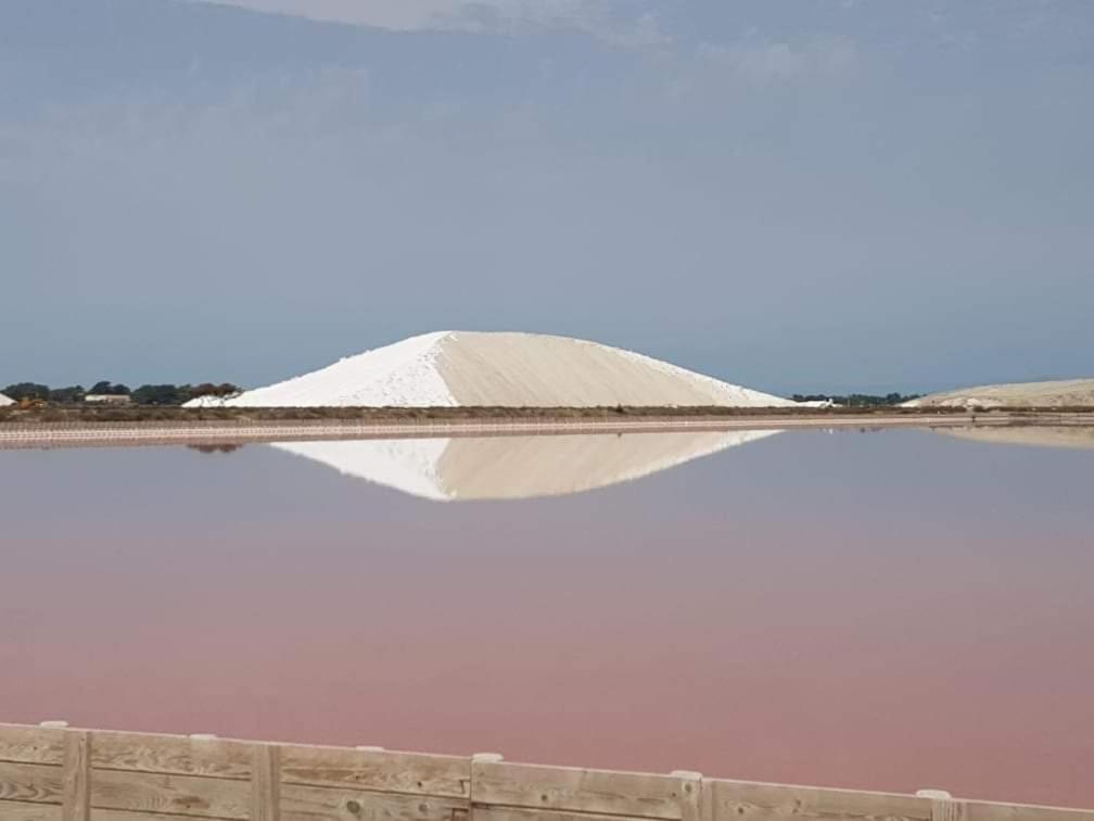 فيلا Saint-Laurent-dʼAigouzeفي Orchidee Rose المظهر الخارجي الصورة
